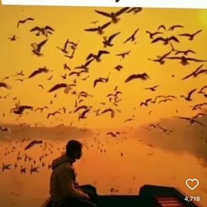 Meet your Posher, Khalida